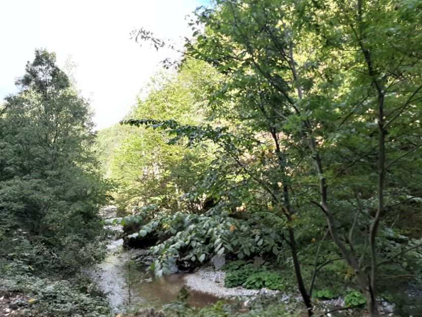  - Cheile Sohodolului septembrie 2020