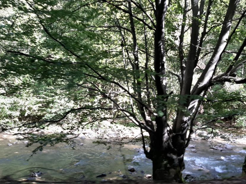  - Cheile Sohodolului septembrie 2020