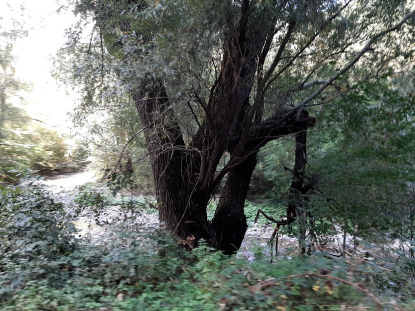  - Cheile Sohodolului septembrie 2020