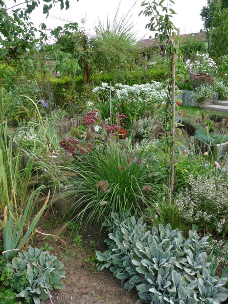  - 2020 - 03 - Toamna