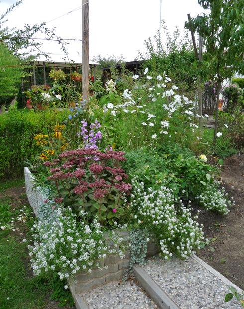  - 2020 - 03 - Toamna