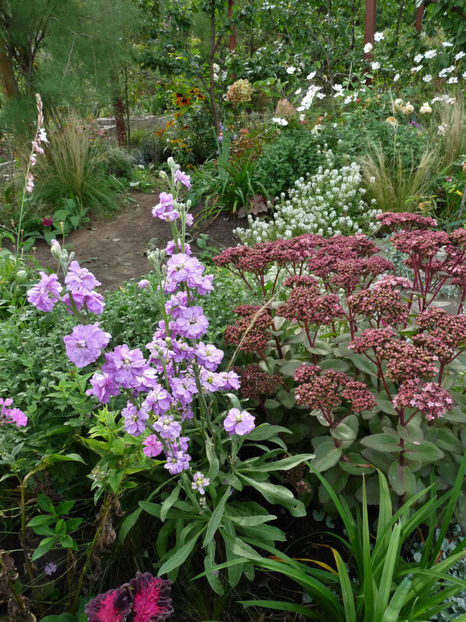  - 2020 - 03 - Toamna