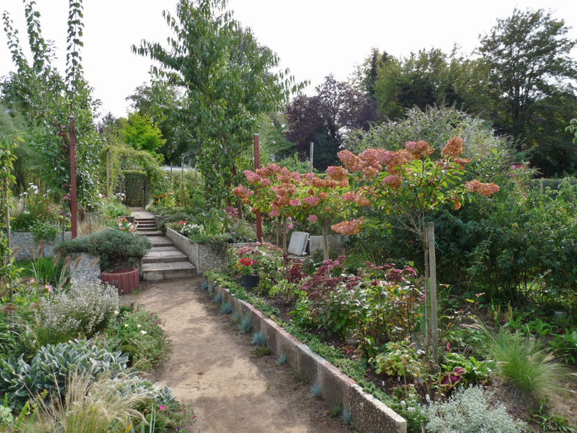  - 2020 - 03 - Toamna