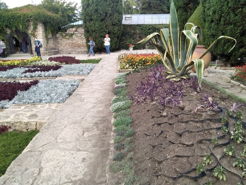  - Balcik 26 septembrie 2020