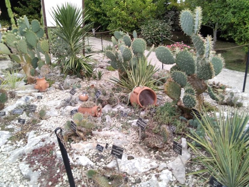  - Balcik 26 septembrie 2020