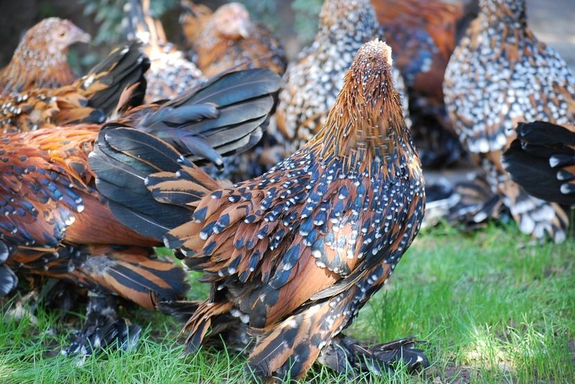 120316108_3303006413080512_8615823439543930889_o - mdf pt 2021