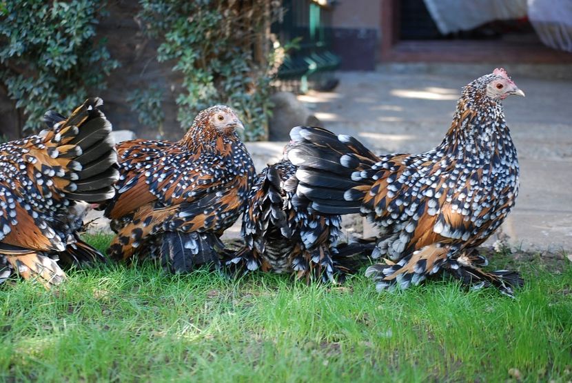 120326040_3303006959747124_7236622611962550414_o - mdf pt 2021