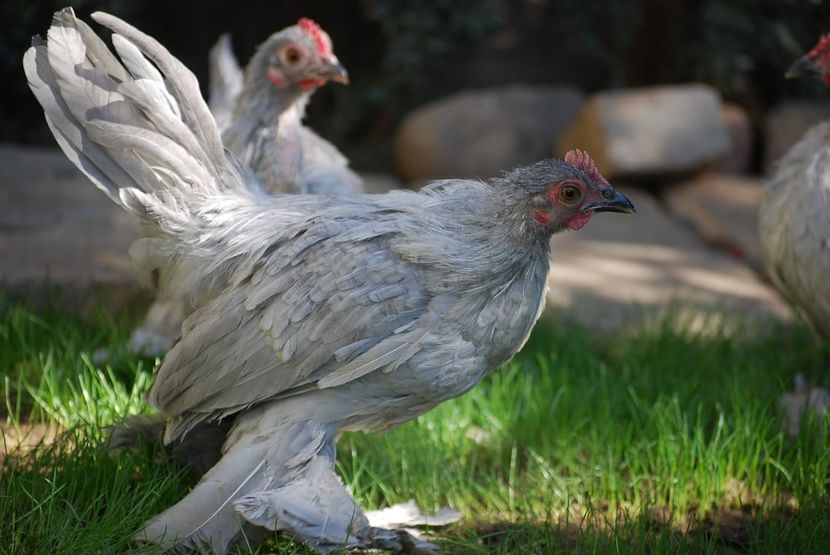 120328410_3303005226413964_4113702446919677505_o - mdf pt 2021