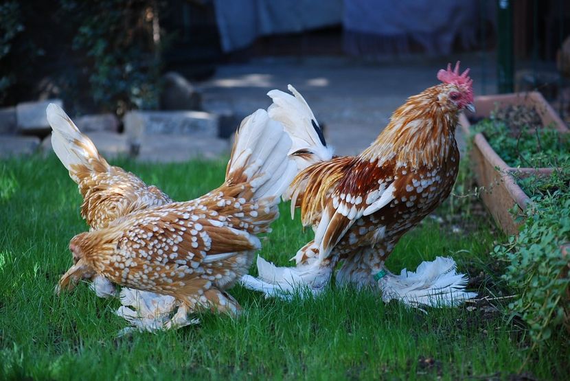 120274150_3303002683080885_6297820632905584311_o - mdf pt 2021