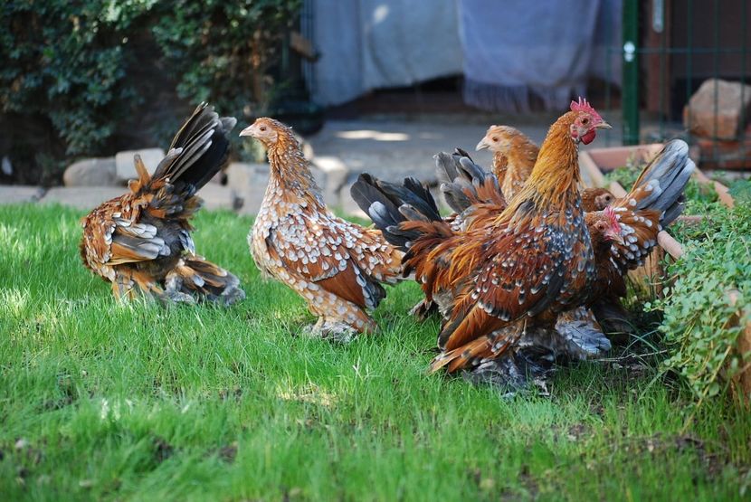 120303001_3303003783080775_3039065052479142042_o - mdf pt 2021