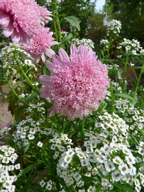  - 2020 - 03 - Toamna