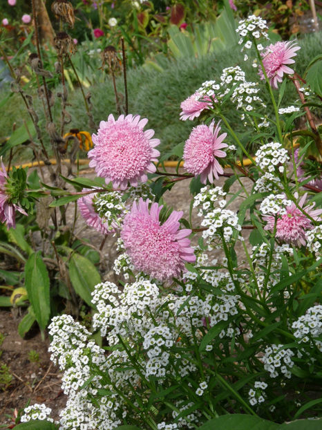  - 2020 - 03 - Toamna