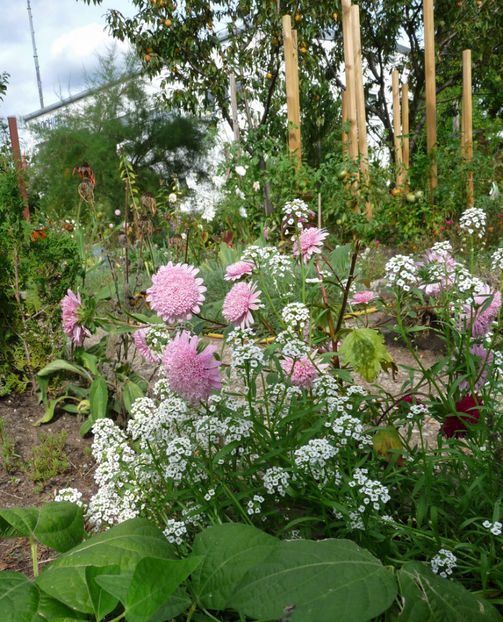  - 2020 - 03 - Toamna