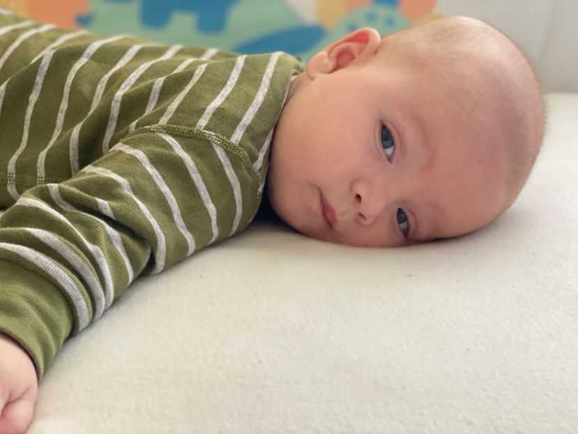 F8843353-6F5B-444F-9490-718869C77DB9 - Lucas Winnie