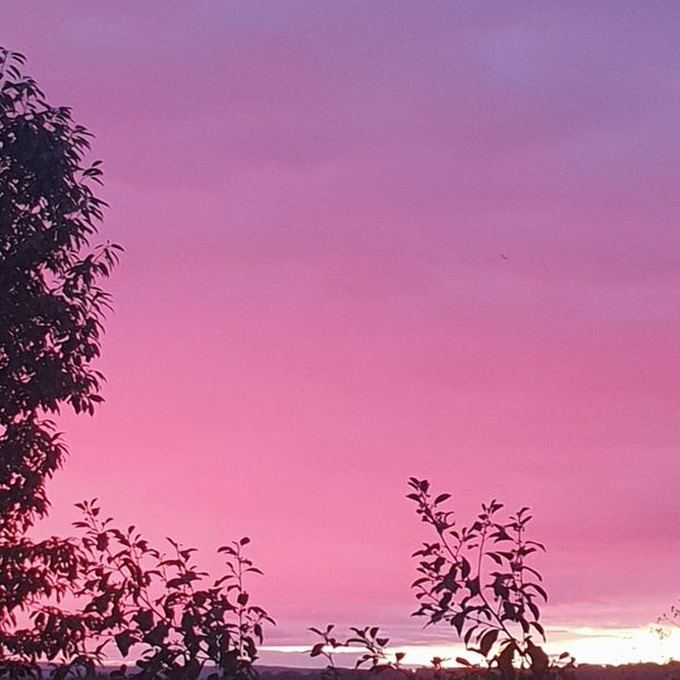 RASARITUL La 7:00 clock - - O - Fotografii x