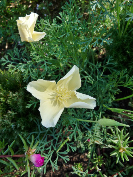  - 2020 - 03 - Toamna