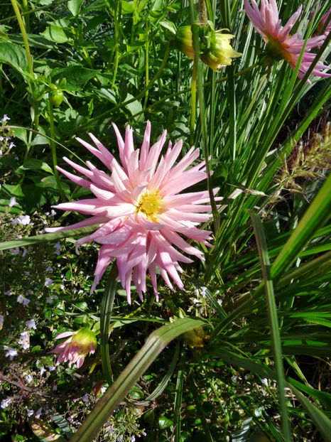  - 2020 - 03 - Toamna