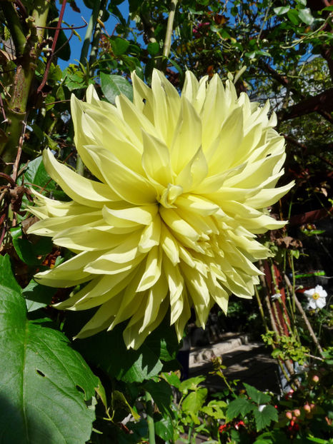  - 2020 - 03 - Toamna