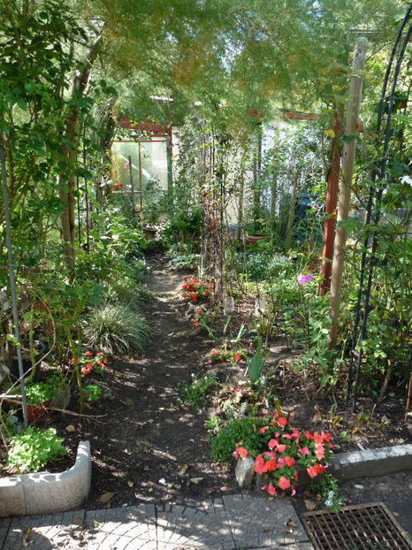  - 2020 - 03 - Toamna