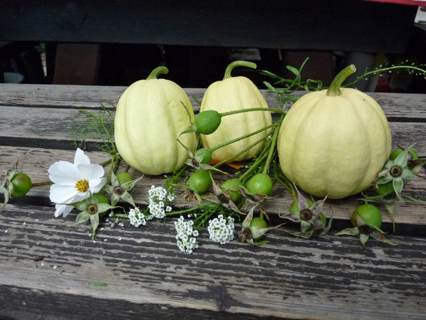  - 2020 - 03 - Toamna