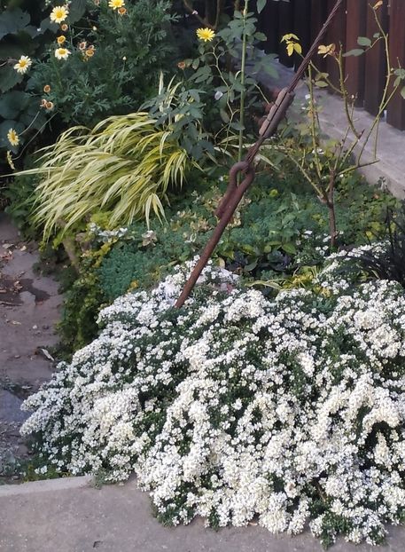  - Septembrie 2019- septembrie 2020