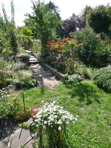  - 2020 - 03 - Toamna