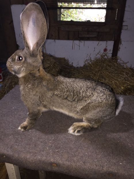 3CD6CEE4-2072-4A46-B4E7-81ECF79176F1 - RO 8-3036