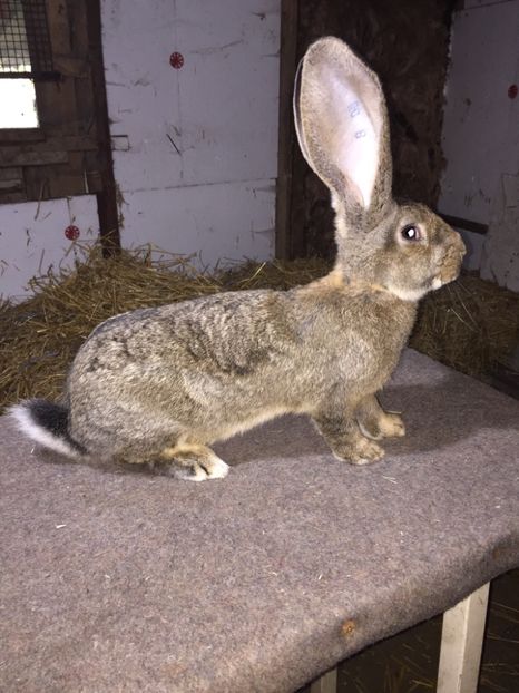 2ADCA766-D99B-49BD-BAEC-7C3582E1CA31 - RO 8-3036