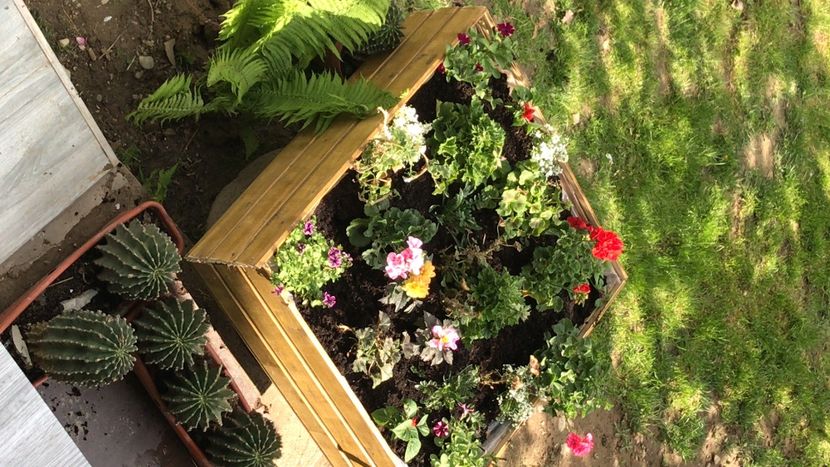 960AF050-6903-4649-BE2E-004023750E5F - flori 2020