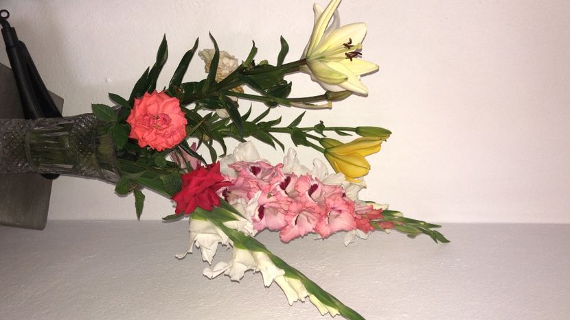 61787245-93B4-4A2B-8769-BB229D921BAE - flori 2020