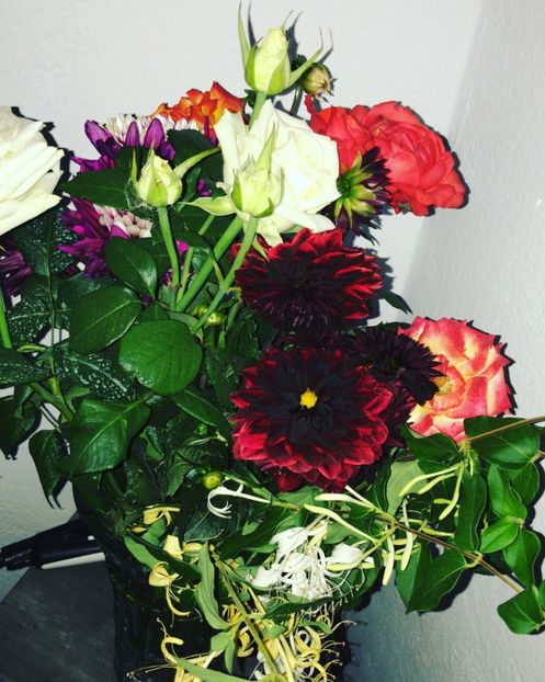 03B26053-10C1-4896-AE9C-2D282D8B4AFA - flori 2020