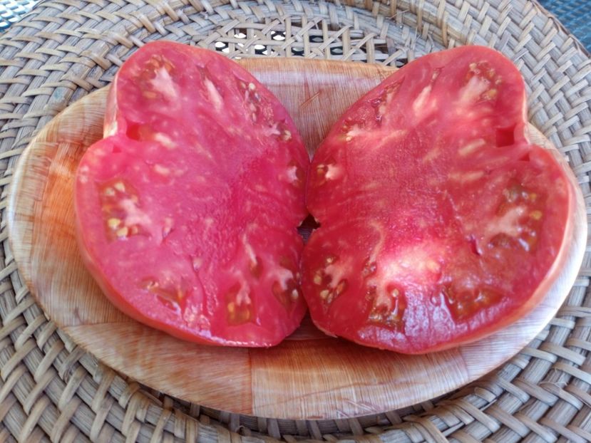  - TOMATE 2020 ALBUM 15