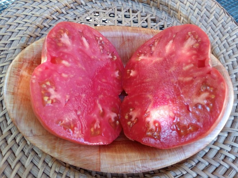  - TOMATE 2020 ALBUM 15