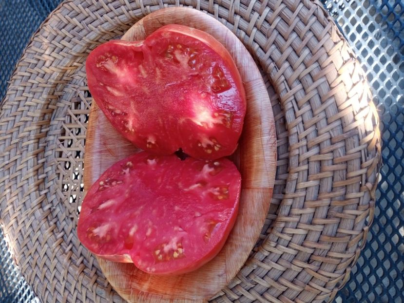  - TOMATE 2020 ALBUM 15