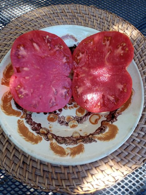  - TOMATE 2020 ALBUM 15