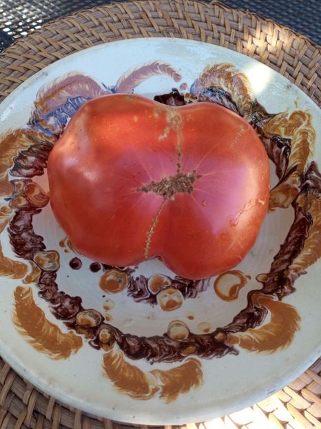  - TOMATE 2020 ALBUM 15