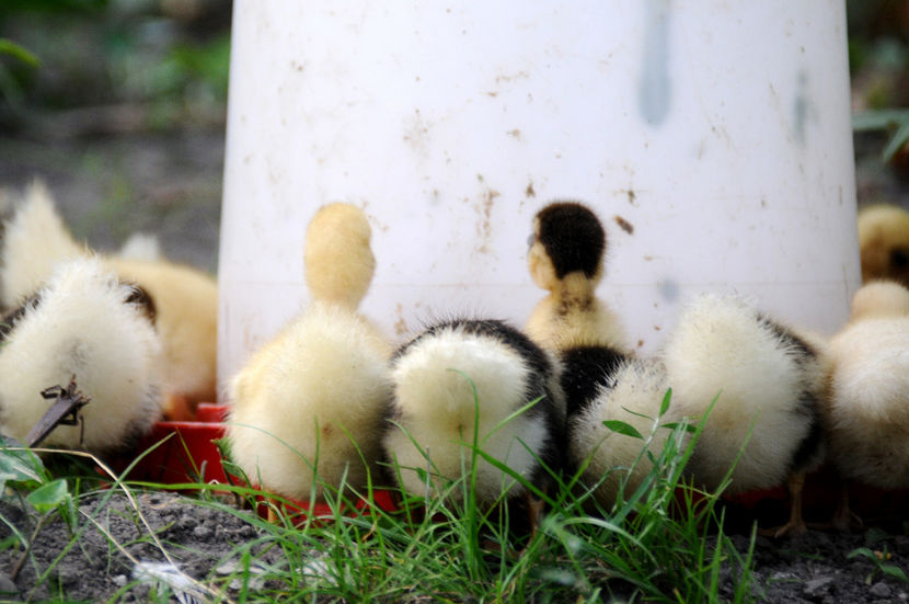  - 04 Rate lesesti 2020