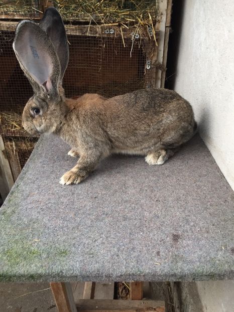 F22A7C42-CC32-4BF0-995B-C775E32D3966 - RO 8-3054