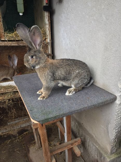 F68CC9CC-A41D-4E67-8B36-E235806ABF11 - RO 8-3060