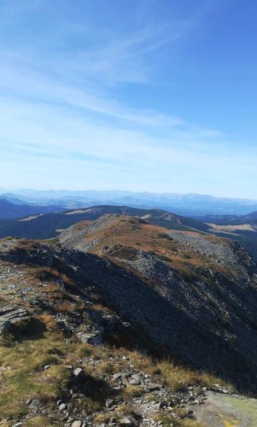 received_633853283989046 - M-ții Călimani