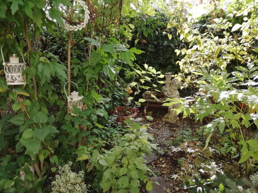  - Grădina 2020 continuare 2