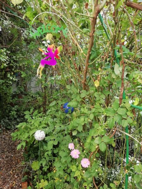  - Grădina 2020 continuare 2