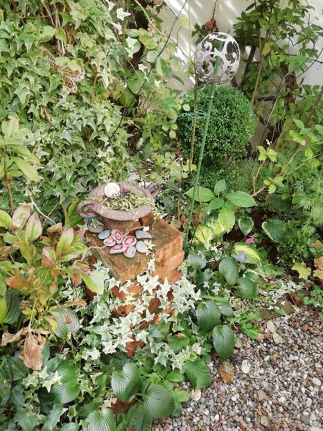  - Grădina 2020 continuare 2