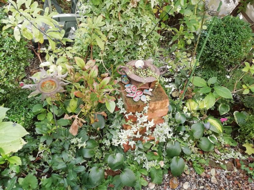  - Grădina 2020 continuare 2