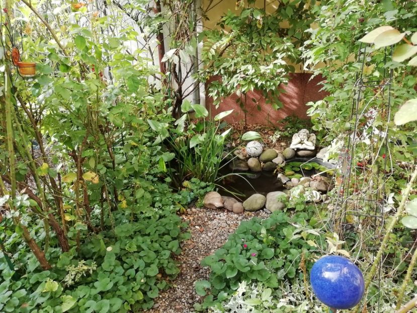  - Grădina 2020 continuare 2