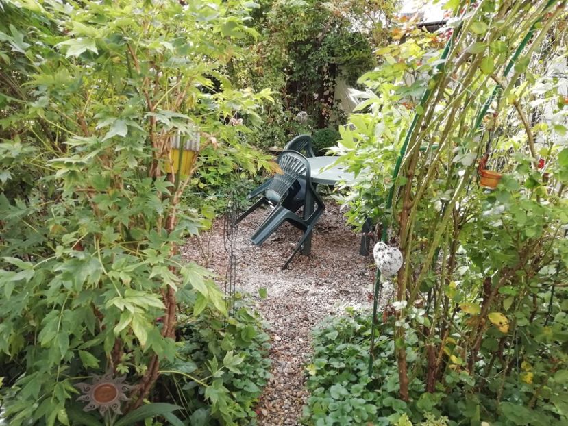  - Grădina 2020 continuare 2