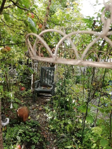  - Grădina 2020 continuare 2