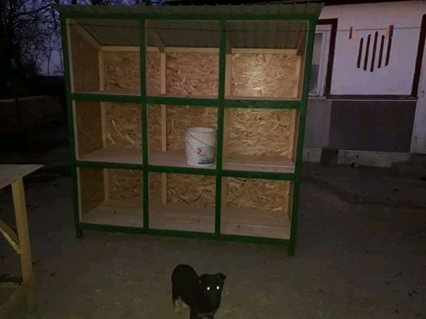  - Modele de custi urecheati