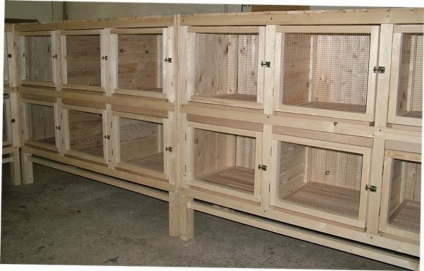 31757684_VGRYDIQHZ - Modele de custi urecheati