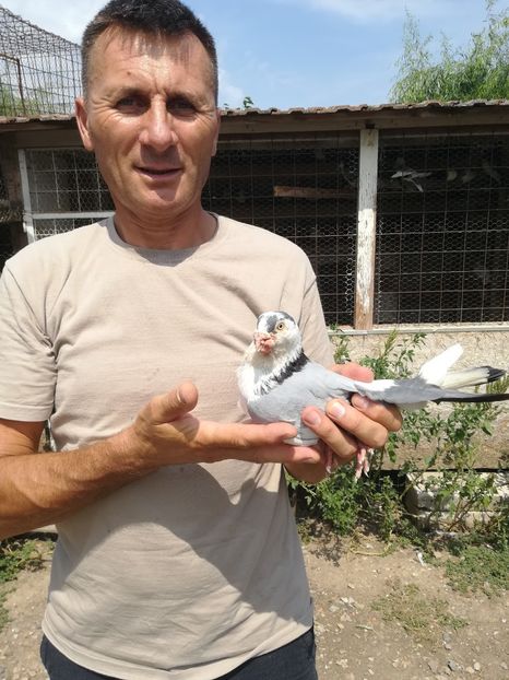  - Zboruri și vizite